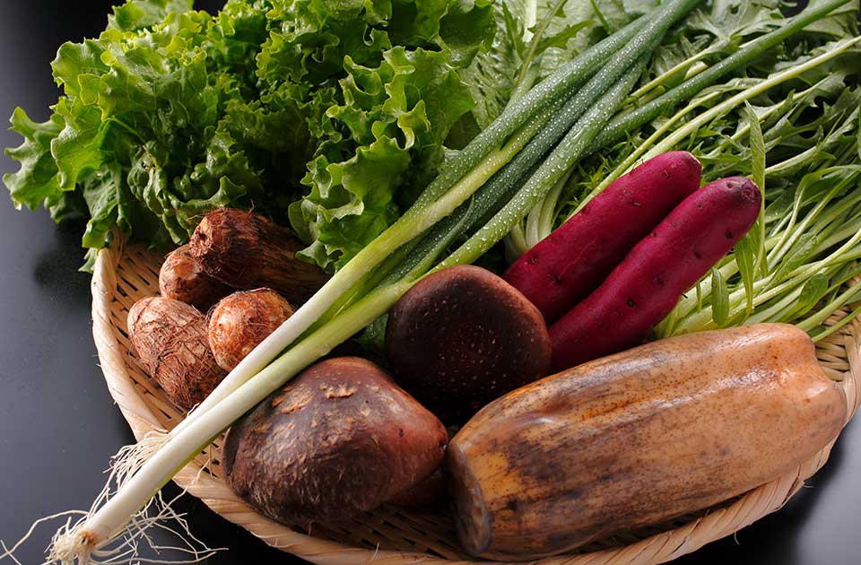 京都御食国懐石