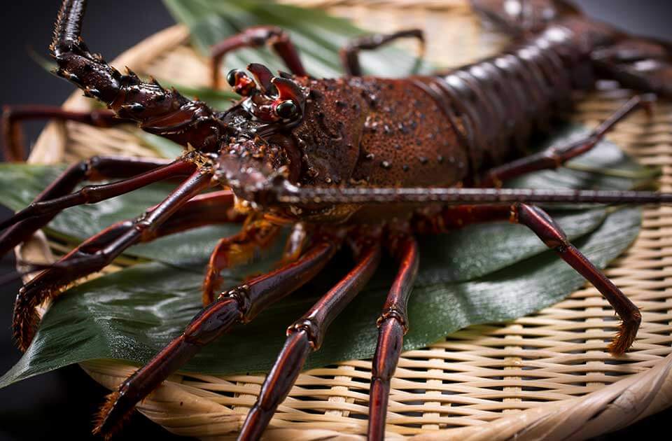 Kyoto Miketsukuni Kaiseki