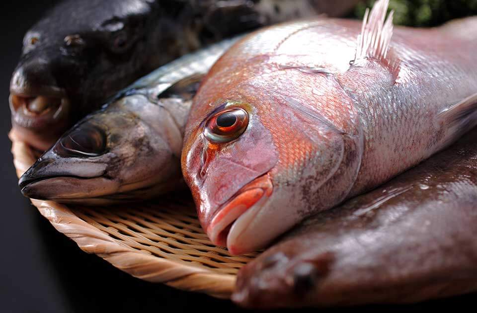 Kyoto Miketsukuni Kaiseki