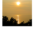 あわじ浜離宮